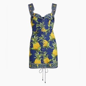 FARM RIO Delicate Pineapple Lace-Up Minidress XS.  C